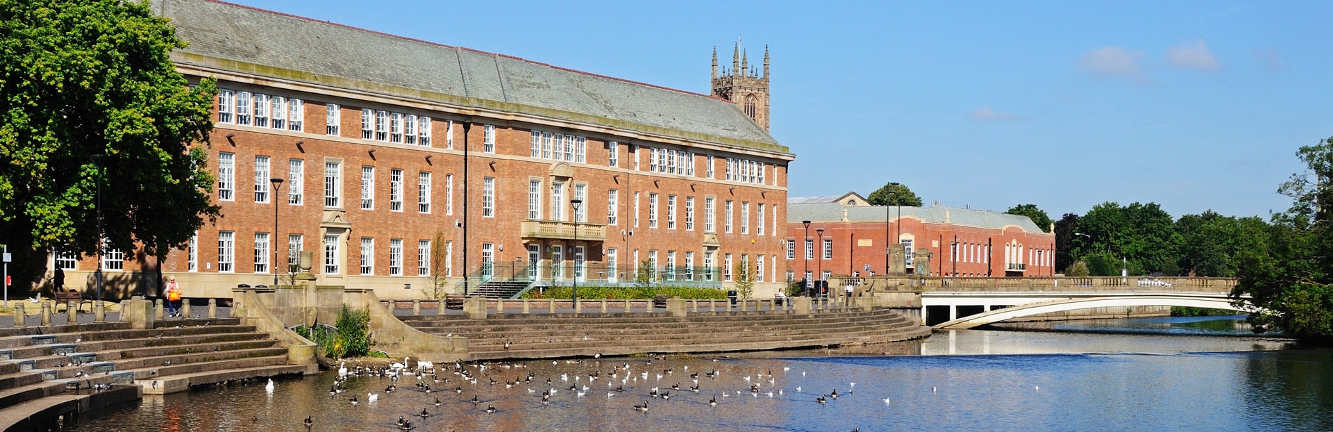 Ducks and swans on the River Derwent with the Council House buildings behind, Derby