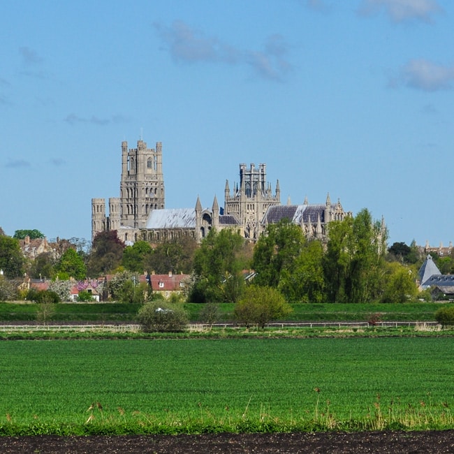 Ely Cathedral viewed across the fen at Quanea, Cambridgeshire.