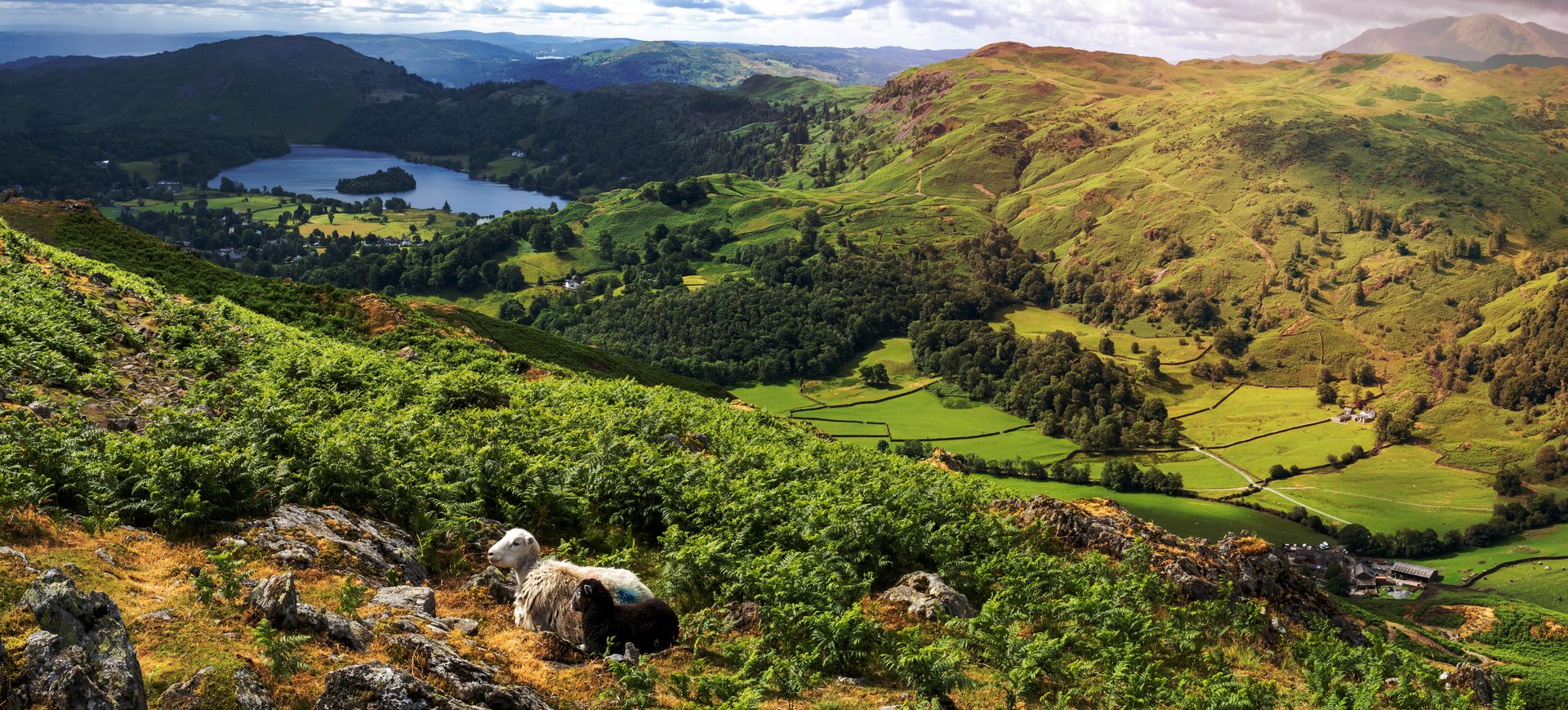 Lake District Holiday Let Income and Occupancy by Town