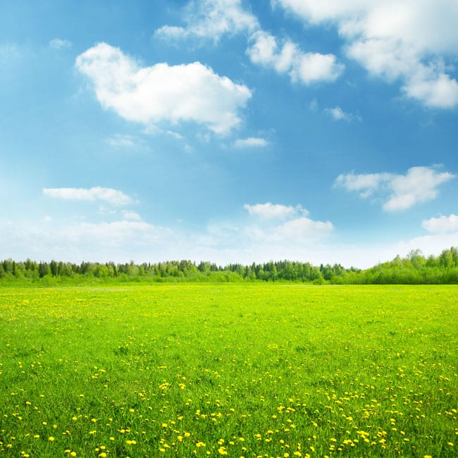 What is a Greenfield Site?