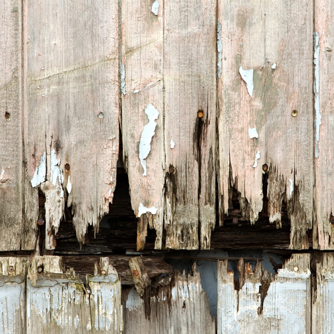 How to Sell a House with Dry Rot